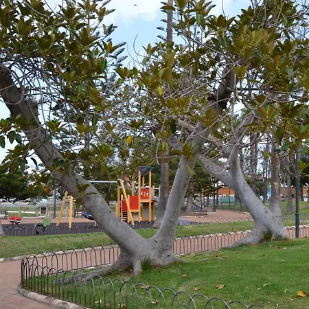 Fabuloso Penthouse Palmas 大加那利岛拉斯帕尔马斯