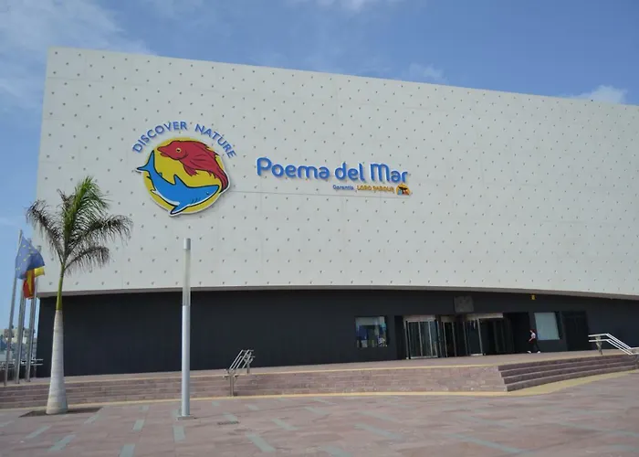 Apartament Fabuloso Penthouse Palmas