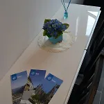 Fabuloso Penthouse Palmas Appartement