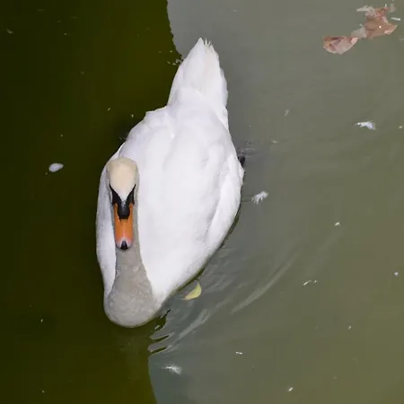 Fabuloso Penthouse Palmas Apartament *