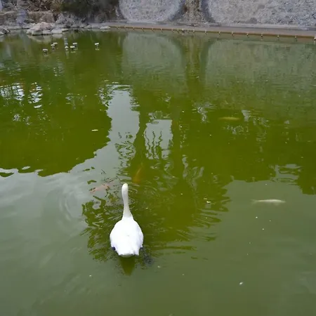 Fabuloso Penthouse Palmas Daire *