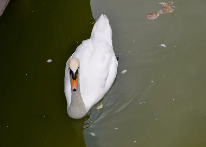 Fabuloso Penthouse Palmas Daire *