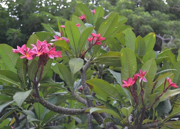 アパート Fabuloso Penthouse Palmas ラスパルマス・デ・グランカナリア