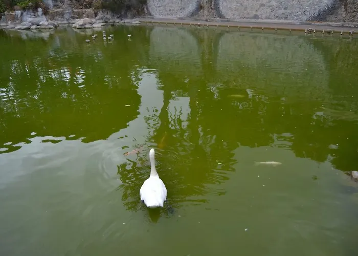 Fabuloso Penthouse Palmas アパート *